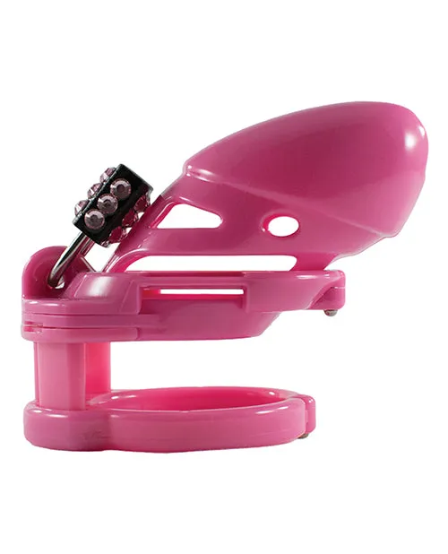 Locked In Lust The Vice Standard Locked In Lust Female Sex Toys