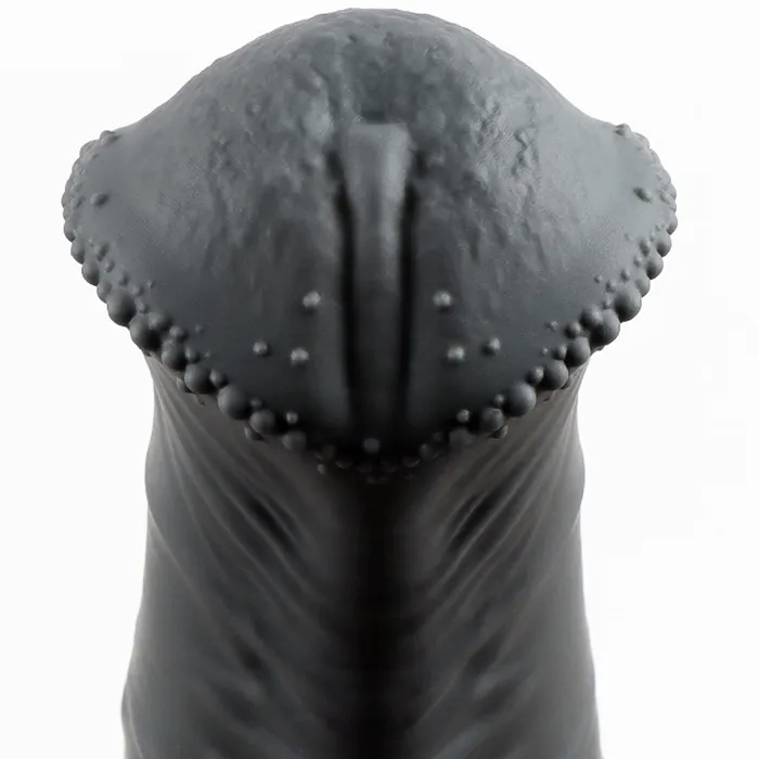 Anal Huge Horse Dildo Butt Plug Realistic Animal Monsterdildo Vagina Prostate Massager Domlust